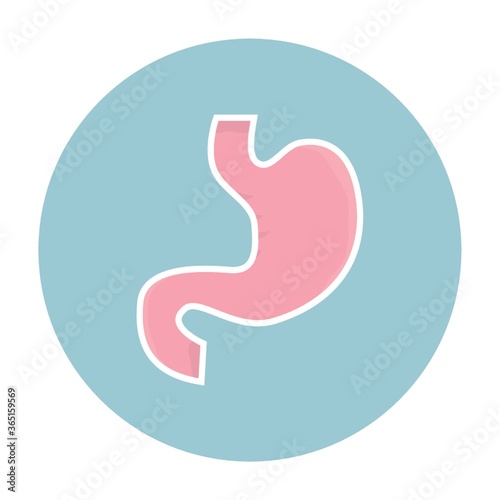 stomach