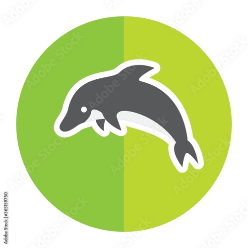 dolphin