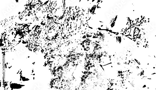 Wallpaper Mural Black abstract, grunge flower, texture, transparent background. Backdrop for overlay, montage or shading. Splatter, grain, scratches and spots. Abstract vector illustration. Easy to recolor. Torontodigital.ca