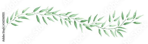 Green leaf -- narrow banner. Long curved branch with narrow leaves, vector illustration, design element.