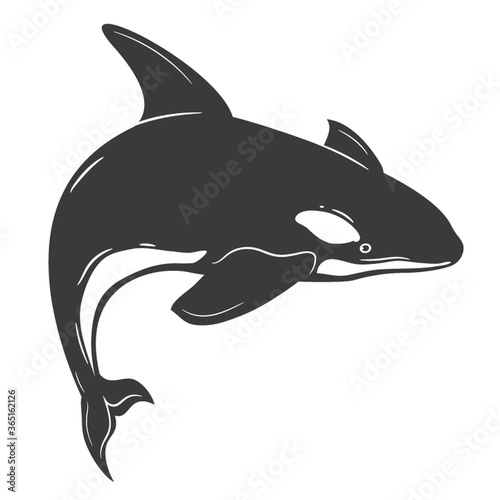 orca