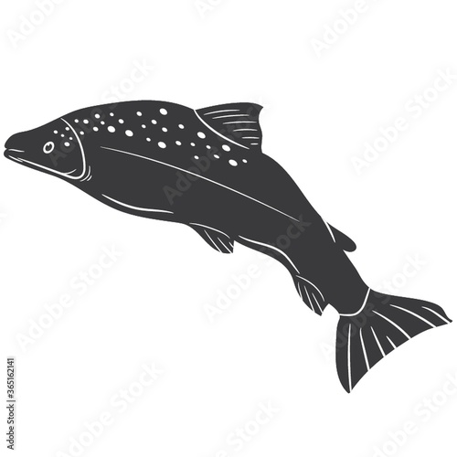 salmon