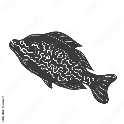 marine fish
