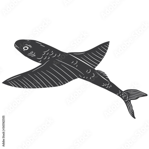 flying fish