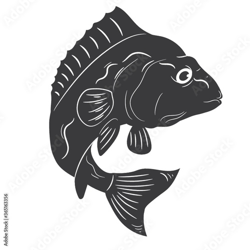 marine fish