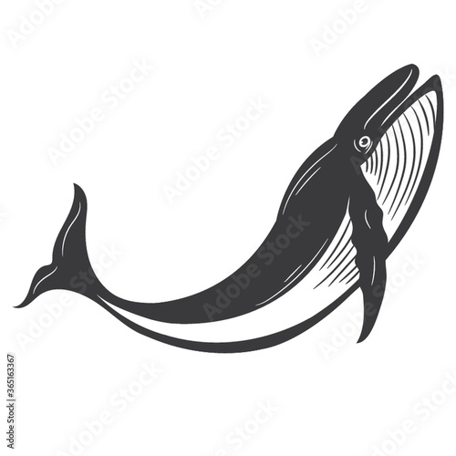 whale