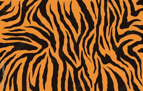 Tiger stripes pattern  animal skin texture  striped background.  Raster copy 