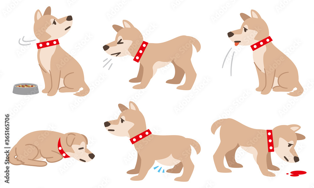 フィラリア症など体調不良の犬 Stock Vector Adobe Stock