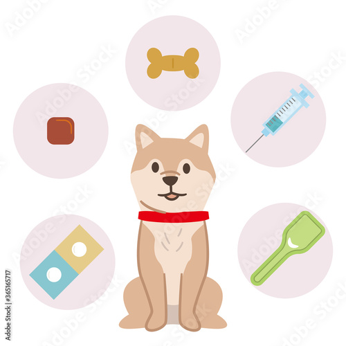犬の予防医療イメージ