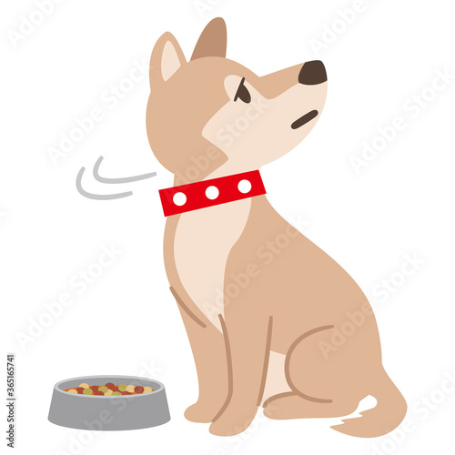 食欲不振の犬