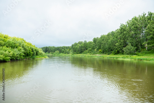 Calm river with forest on the shore