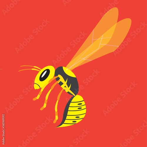 wasp