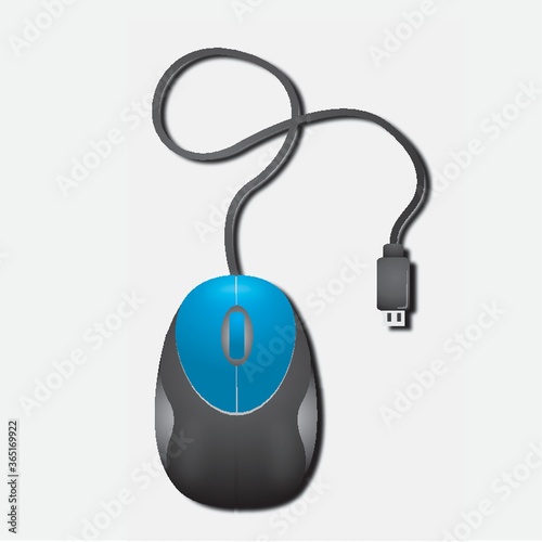 computer mouse