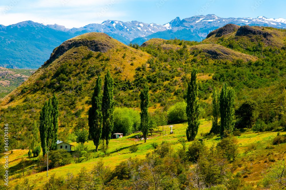 Green Pasture in the Patagonia Andes