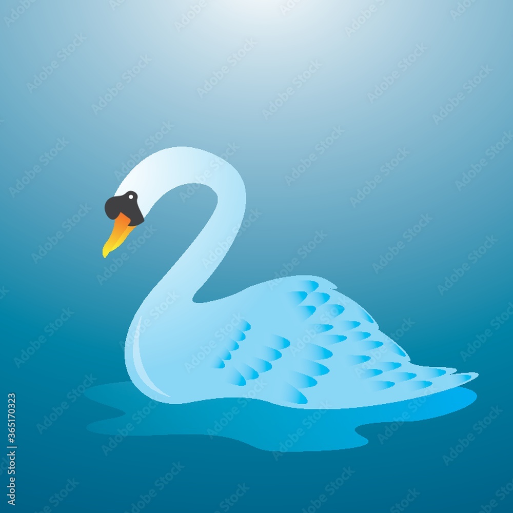 Fototapeta premium swan