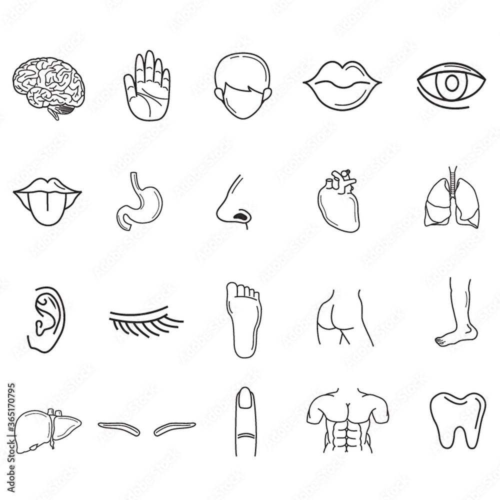 collection of human body parts
