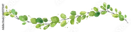 Watercolor Green leaf -- narrow banner. Long curved branch with narrow leaves, vector illustration, design element.