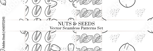 Nuts and seeds vector pattern. Outline hand drawn design