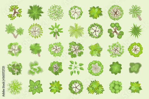 Trees top view. Different plants and trees vector set for architectural or landscape design. (View from above) Nature green spaces.