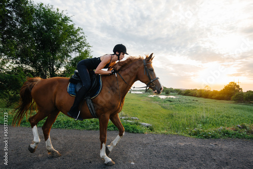 A young pretty girl jockey riding a thoroughbred stallion is engaged in horse riding at sunset. Equestrian sports., horse riding © Andrii