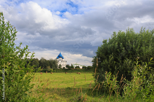 Landscape on the background of the Suzdal Kremlin. Suzdal. Vladimir region. Golden ring. Russia