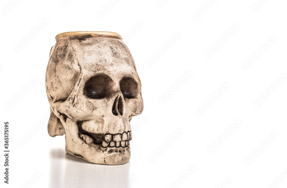 Obraz premium human plaster skull on a white background