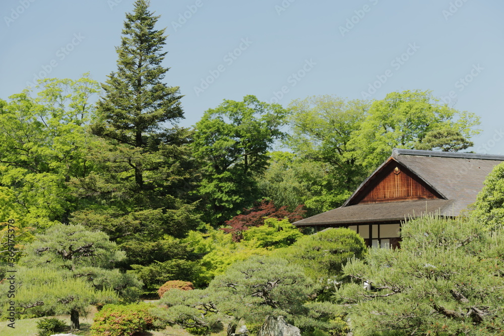 京都　桂　20150511