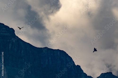 Dassault Rafale in Schweizer Bergen Swisss mountains 