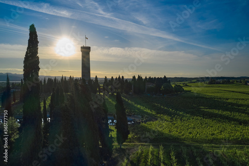 Tower of San Martino della Battaglia Italy. Sunrise. Vineyard plantation in the background blue sky