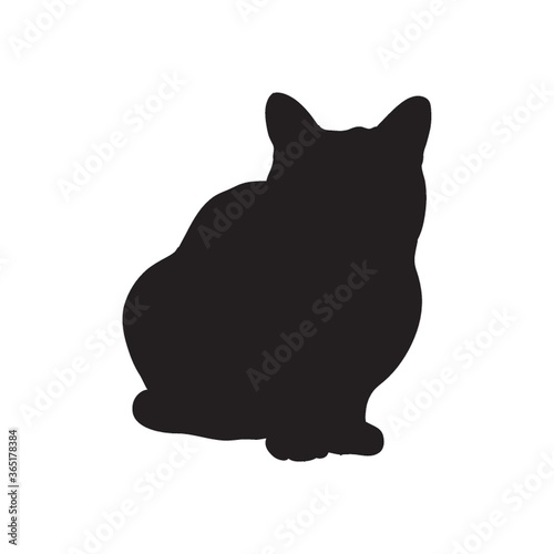 silhouette of a cat