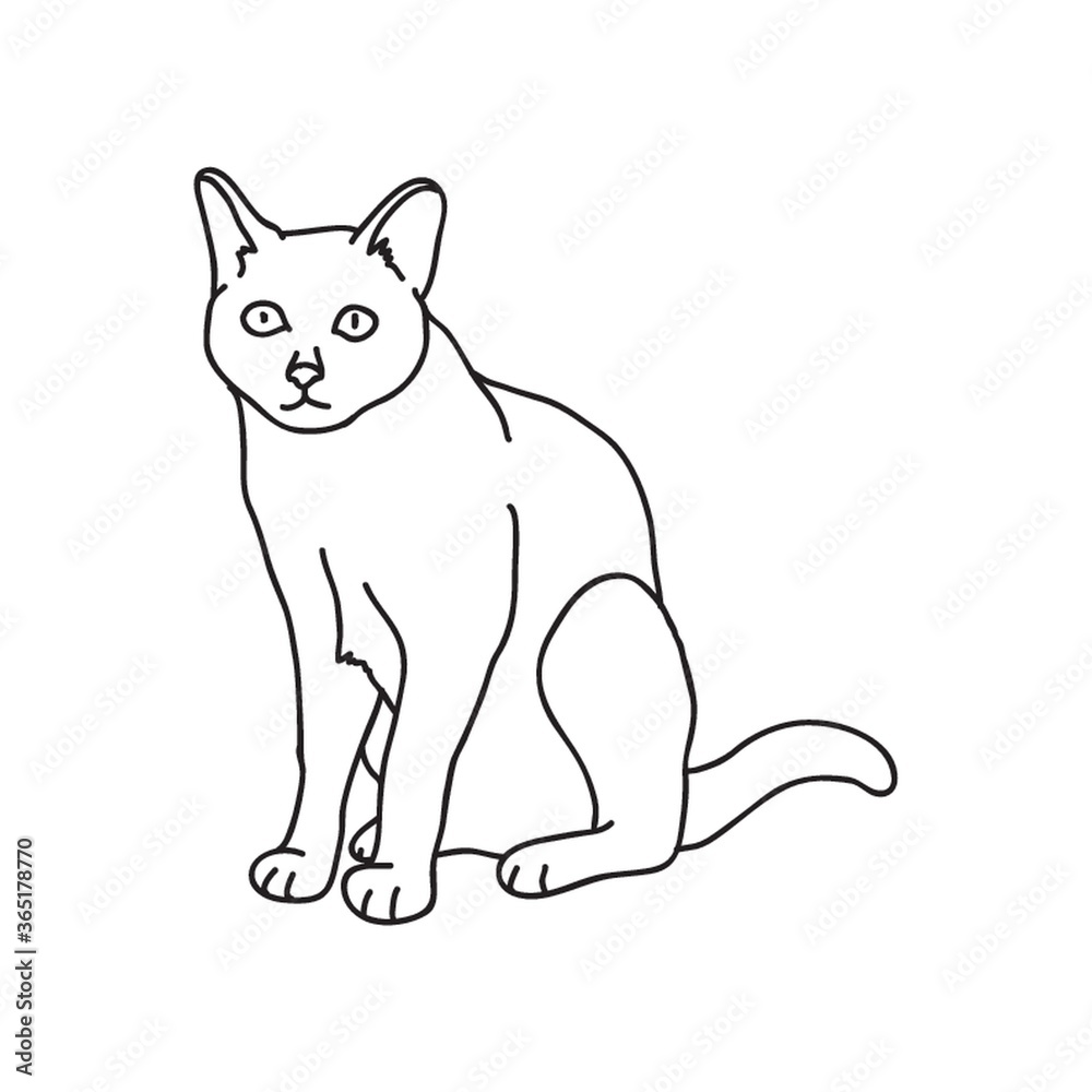 Naklejka premium cat