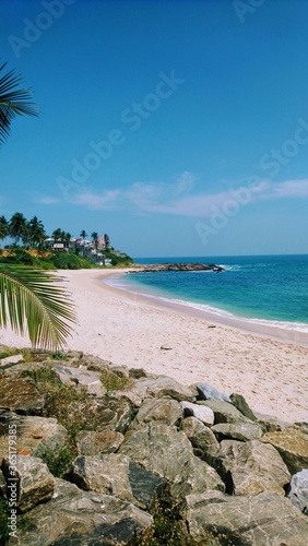 tropical beach with palm trees