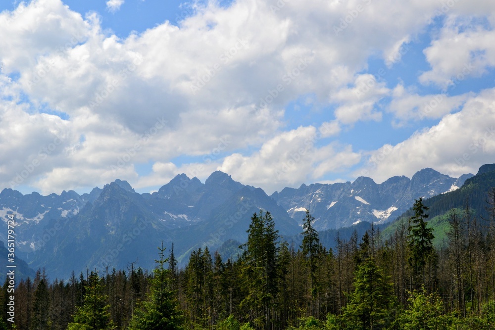 A mountain view with mountain peaks seen from the green trail to the Rusinowa glade (Rusinowa Polana) on Tatra mountains, Poland
