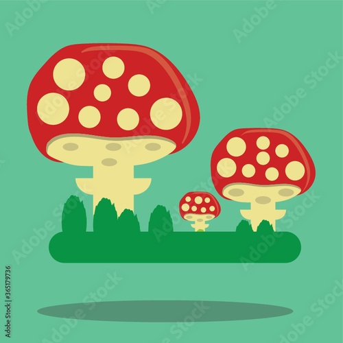 mushrooms