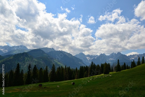 Tatra Mountains - Rusinowa Polana (Rusinowa Glade), Tatra National Park, Poland