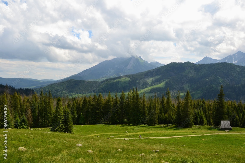 Tatra Mountains - Rusinowa Polana (Rusinowa Glade), Tatra National Park, Poland