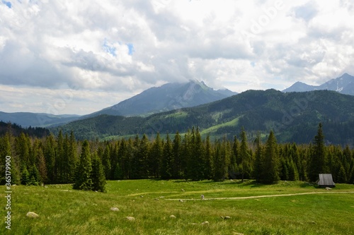 Tatra Mountains - Rusinowa Polana (Rusinowa Glade), Tatra National Park, Poland