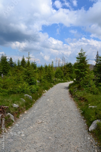 A mountain green trail to the Rusinowa glade (Rusinowa Polana) on Tatra mountains, Poland