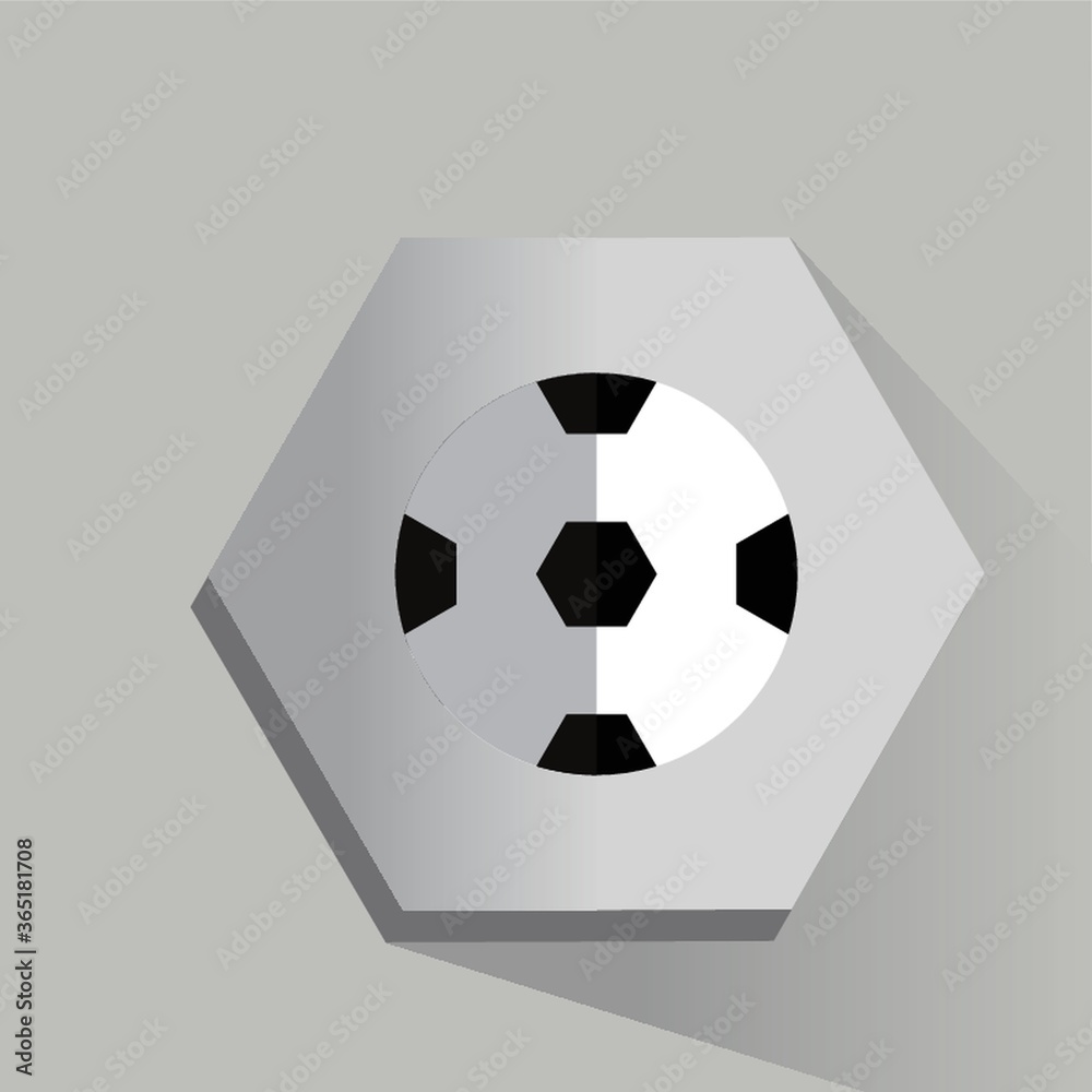 Obraz premium soccer ball