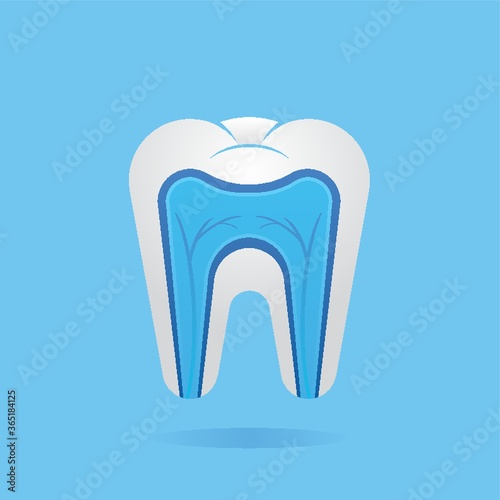 nerves in tooth