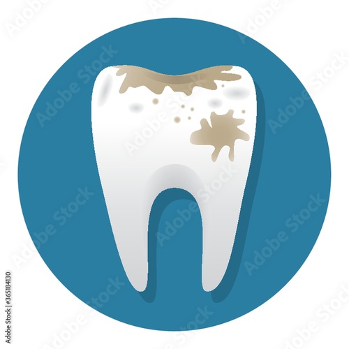 tooth with germs