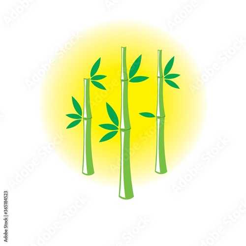 bamboo sticks