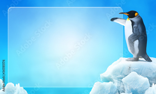 Penguin pointing its flipper wing in an empty space ice glass for advertising or announcement photo