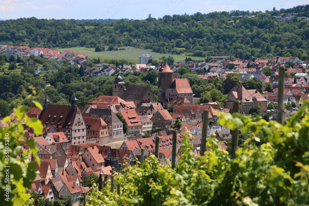 BESIGHEIM / GERMANY /Baden Württemberg, a region in Germany, Baden-Württemberg, where wine is grown