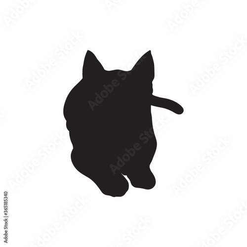 silhouette of a cat