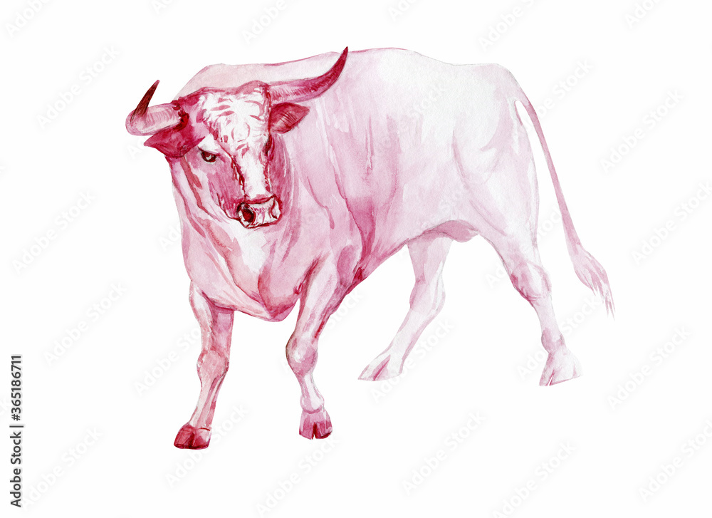 bull of 2021