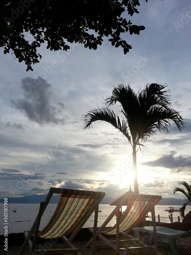Sky and palm tree on a beach
