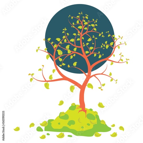 tree with fallen leaves