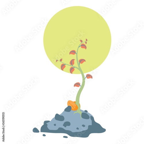 growing plant