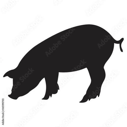 silhouette of pig